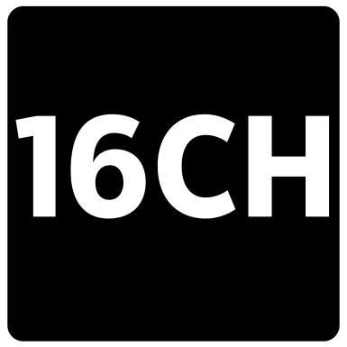 16CH DVR